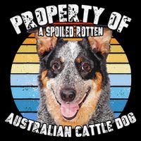 Australian Cattle Dog Blue Retro Property Of Cute Dog Bucket Hat
