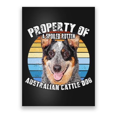 Australian Cattle Dog Blue Retro Property Of Cute Dog Poster