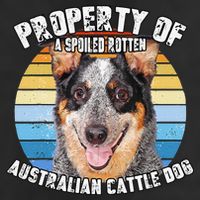 Australian Cattle Dog Blue Retro Property Of Cute Dog Golf Towel