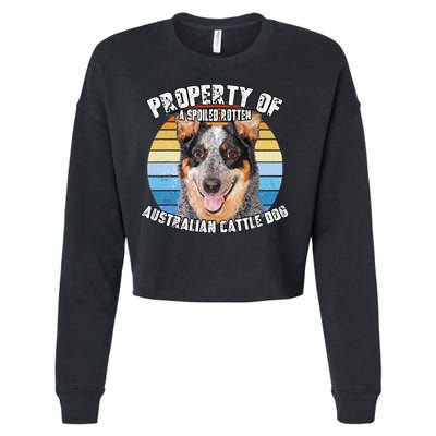 Australian Cattle Dog Blue Retro Property Of Cute Dog Cropped Pullover Crew