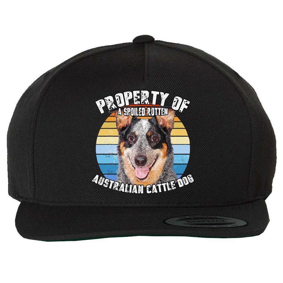 Australian Cattle Dog Blue Retro Property Of Cute Dog Wool Snapback Cap