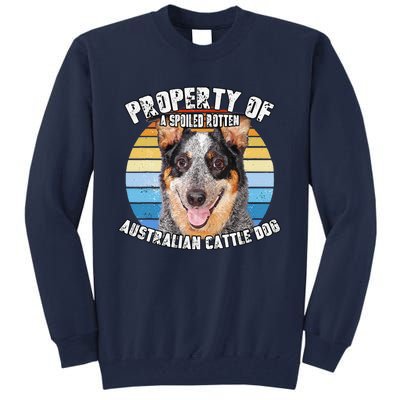 Australian Cattle Dog Blue Retro Property Of Cute Dog Tall Sweatshirt