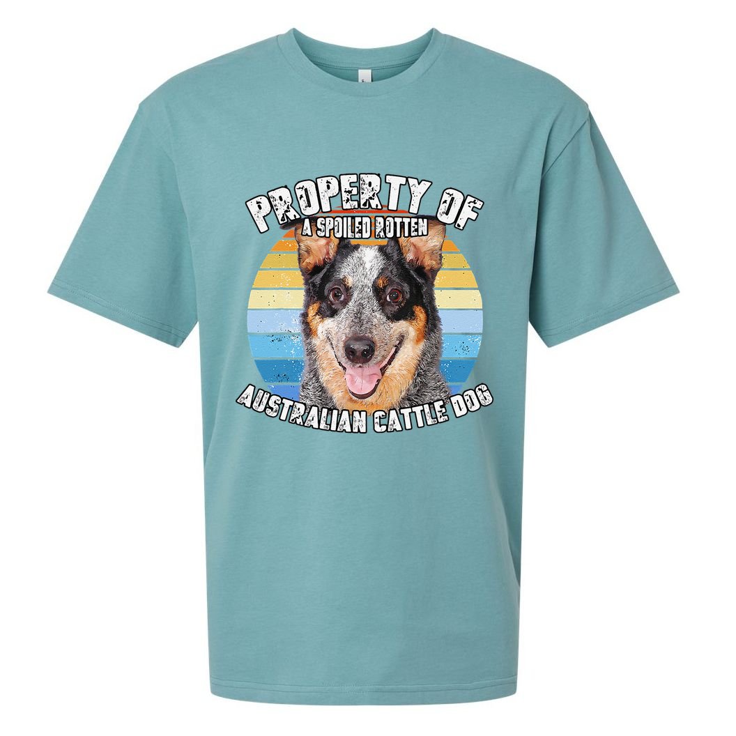 Australian Cattle Dog Blue Retro Property Of Cute Dog Sueded Cloud Jersey T-Shirt