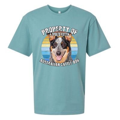 Australian Cattle Dog Blue Retro Property Of Cute Dog Sueded Cloud Jersey T-Shirt