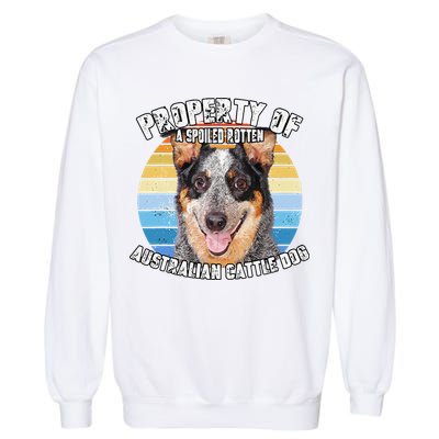 Australian Cattle Dog Blue Retro Property Of Cute Dog Garment-Dyed Sweatshirt