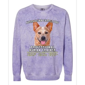 Australian Cattle Dog Red Professional Human Trainer Cute Dog Colorblast Crewneck Sweatshirt