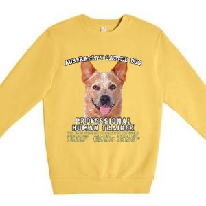 Australian Cattle Dog Red Professional Human Trainer Cute Dog Premium Crewneck Sweatshirt