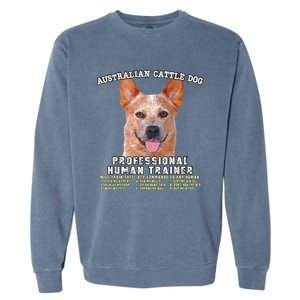 Australian Cattle Dog Red Professional Human Trainer Cute Dog Garment-Dyed Sweatshirt