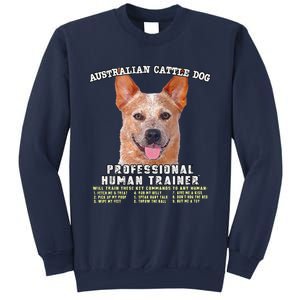 Australian Cattle Dog Red Professional Human Trainer Cute Dog Sweatshirt