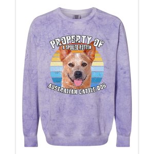 Australian Cattle Dog Red Retro Property Of Cute Dog Colorblast Crewneck Sweatshirt