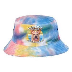 Australian Cattle Dog Red Retro Property Of Cute Dog Tie Dye Newport Bucket Hat