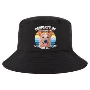 Australian Cattle Dog Red Retro Property Of Cute Dog Cool Comfort Performance Bucket Hat