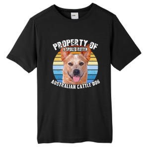 Australian Cattle Dog Red Retro Property Of Cute Dog Tall Fusion ChromaSoft Performance T-Shirt