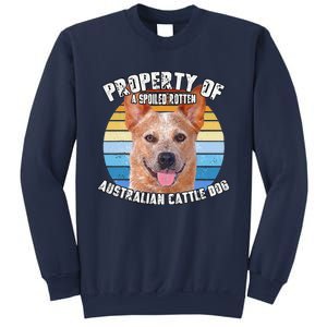 Australian Cattle Dog Red Retro Property Of Cute Dog Sweatshirt