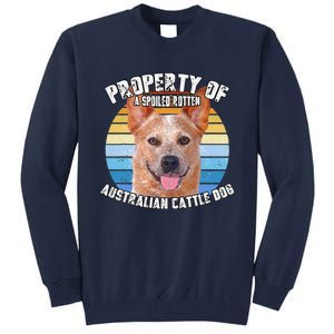 Australian Cattle Dog Red Retro Property Of Cute Dog Tall Sweatshirt