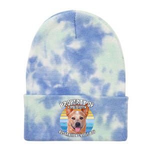 Australian Cattle Dog Red Retro Property Of Cute Dog Tie Dye 12in Knit Beanie