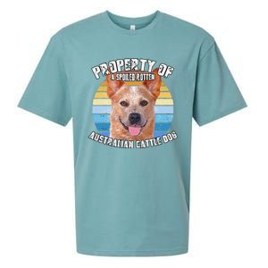 Australian Cattle Dog Red Retro Property Of Cute Dog Sueded Cloud Jersey T-Shirt