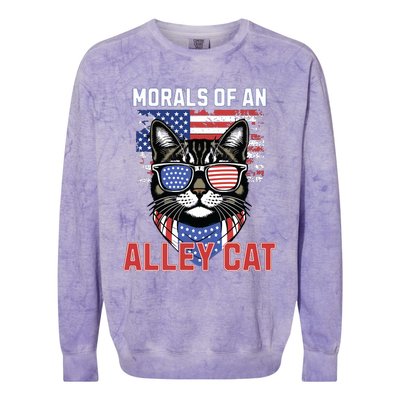 Alley Cat Funny Debate Election Presidential Debate Colorblast Crewneck Sweatshirt