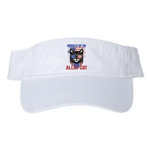 Alley Cat Funny Debate Election Presidential Debate Valucap Bio-Washed Visor