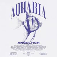 Angelfish Cichlid Fish Keeper Modern Streetwear Cooling Performance Crew T-Shirt