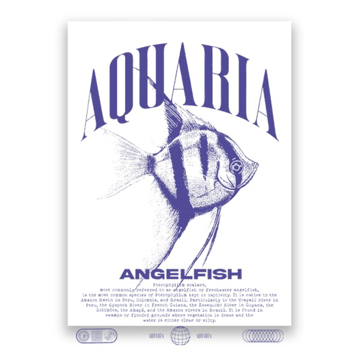 Angelfish Cichlid Fish Keeper Modern Streetwear Poster