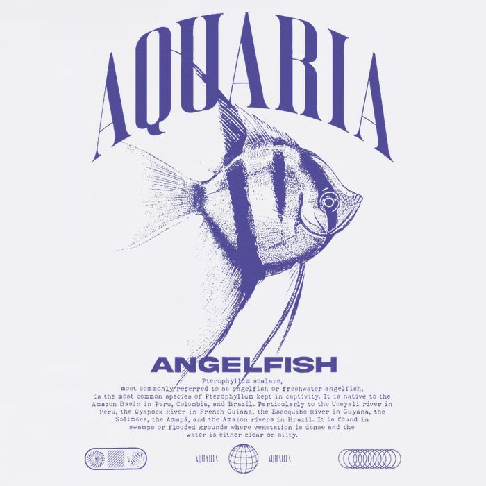 Angelfish Cichlid Fish Keeper Modern Streetwear Women's V-Neck T-Shirt