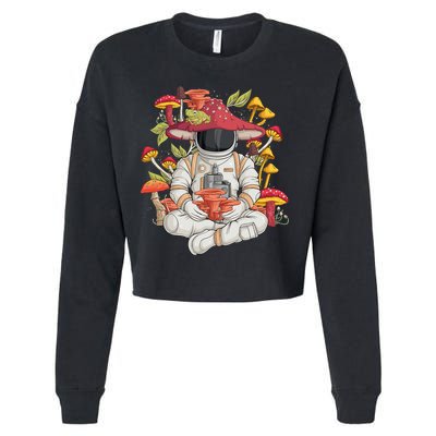 Astronaut Cottagecore frog Aesthetic funny animal Cropped Pullover Crew