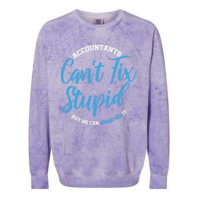 Accountants Cant Fix Stupid Funny Accounting Colorblast Crewneck Sweatshirt