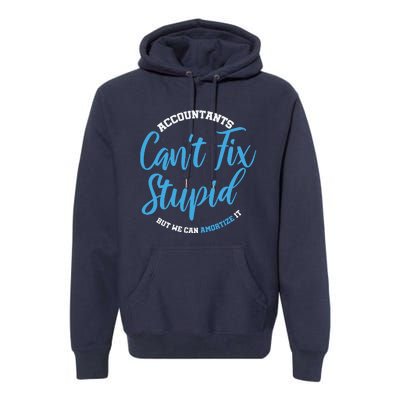 Accountants Cant Fix Stupid Funny Accounting Premium Hoodie