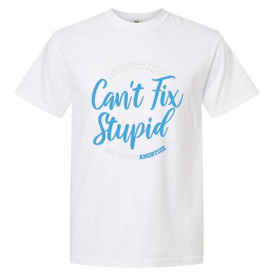 Accountants Cant Fix Stupid Funny Accounting Garment-Dyed Heavyweight T-Shirt