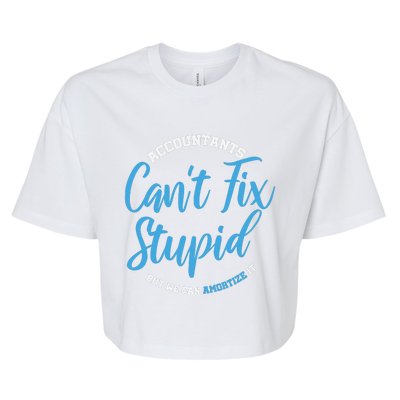 Accountants Cant Fix Stupid Funny Accounting Bella+Canvas Jersey Crop Tee