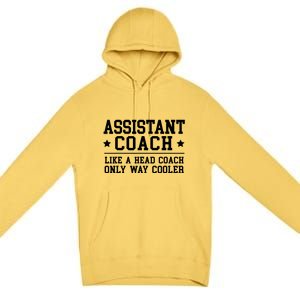 Assistant Coach Funny Sports Coaching Gift Premium Pullover Hoodie