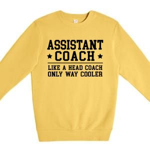 Assistant Coach Funny Sports Coaching Gift Premium Crewneck Sweatshirt