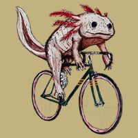 Axolotl Cycling Funny Axolotl Lover Axolotl Bicycle Axolotl Magnet