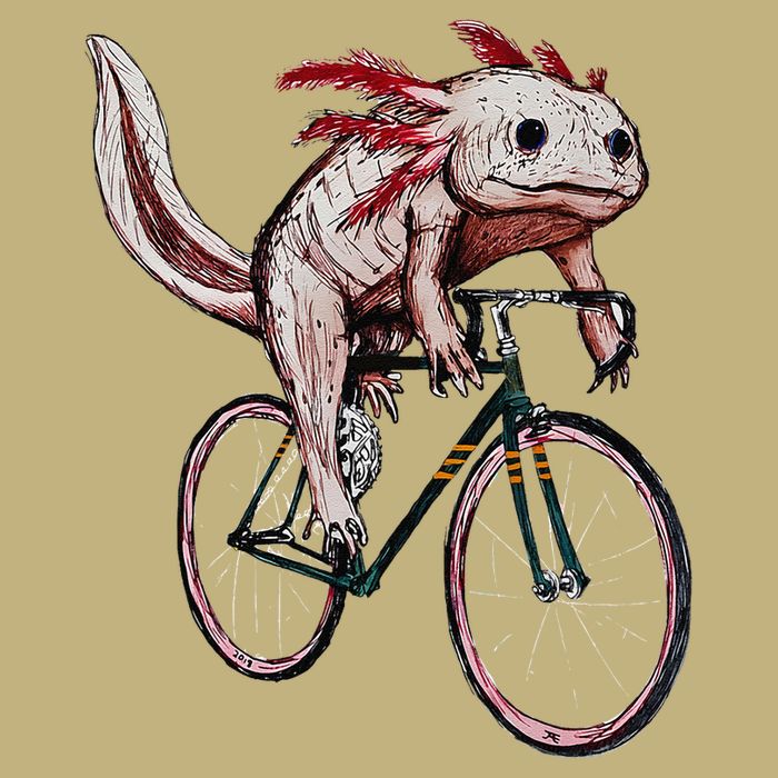 Axolotl Cycling Funny Axolotl Lover Axolotl Bicycle Axolotl Magnet