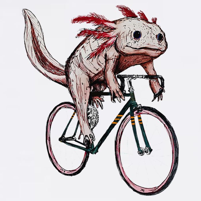 Axolotl Cycling Funny Axolotl Lover Axolotl Bicycle Axolotl Garment-Dyed Sweatshirt
