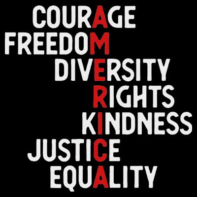 America Courage Freedom Diversity Rights Friendship Justice T-Shirt