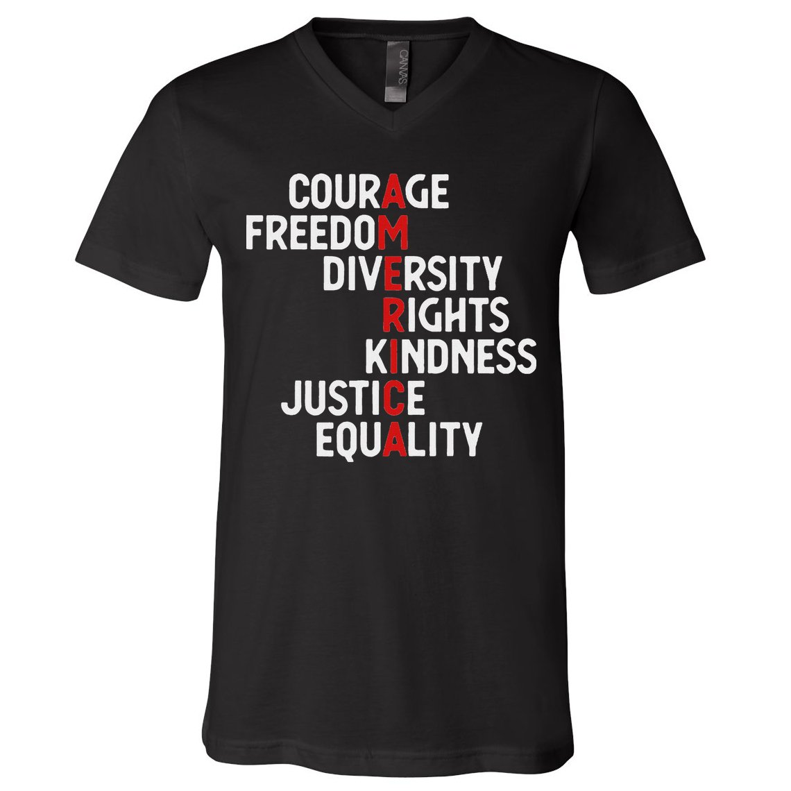 America Courage Freedom Diversity Rights Friendship Justice V-Neck T-Shirt