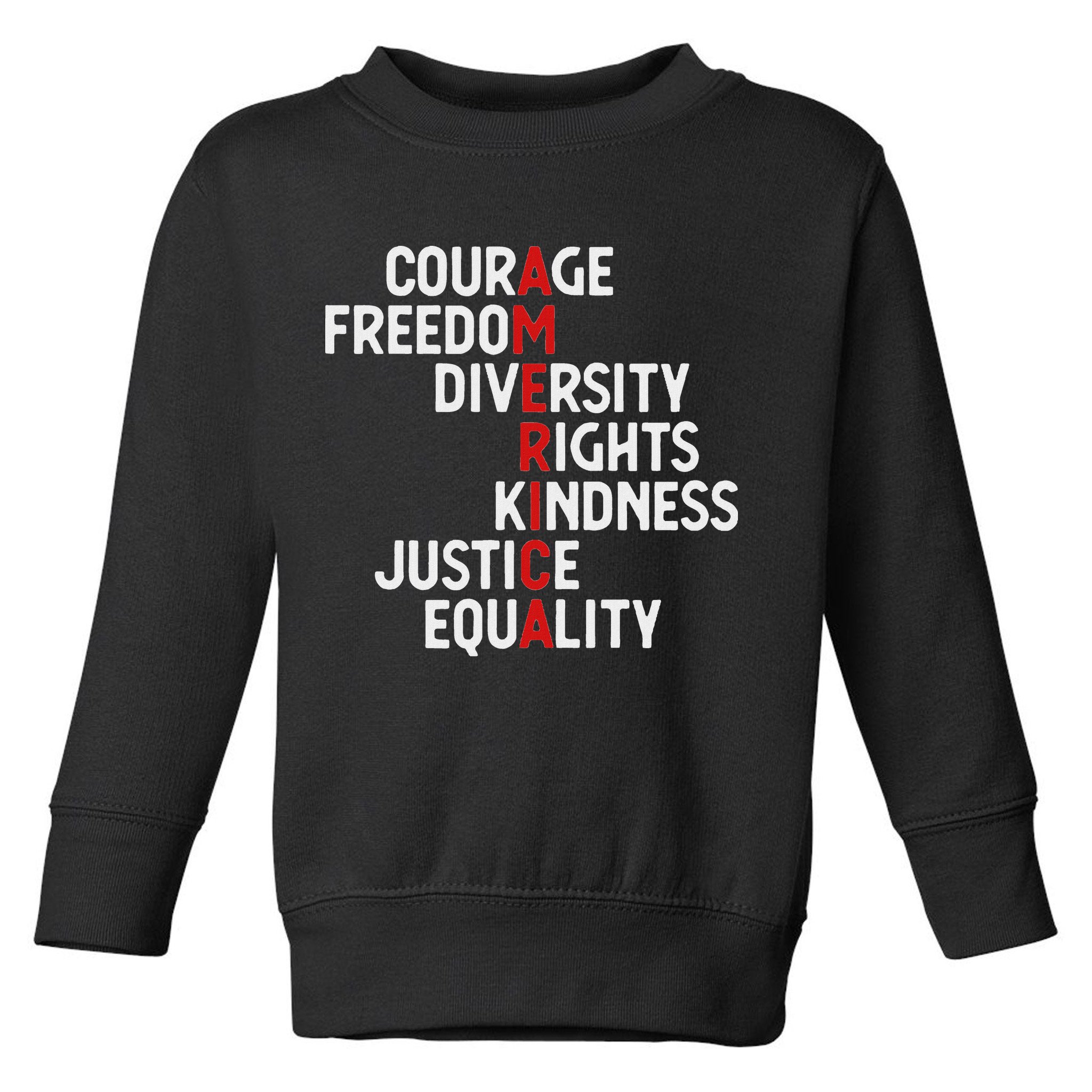 America Courage Freedom Diversity Rights Friendship Justice Toddler Sweatshirt