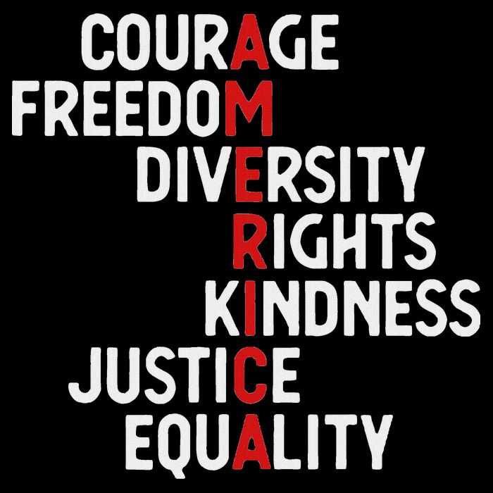 America Courage Freedom Diversity Rights Friendship Justice Tank Top