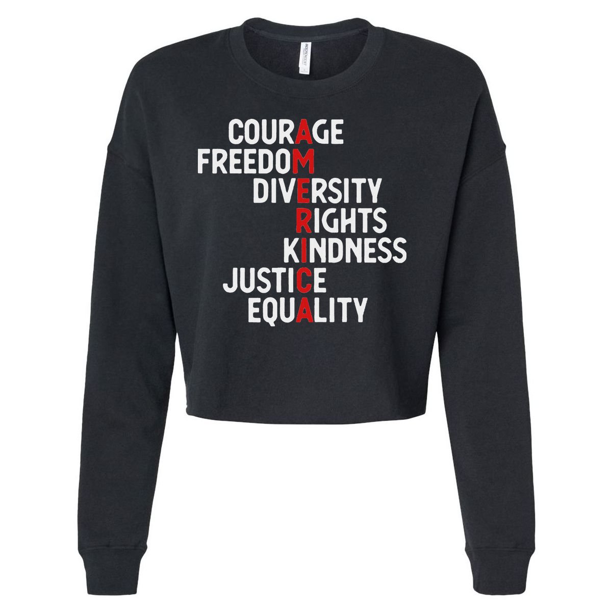 America Courage Freedom Diversity Rights Friendship Justice Cropped Pullover Crew