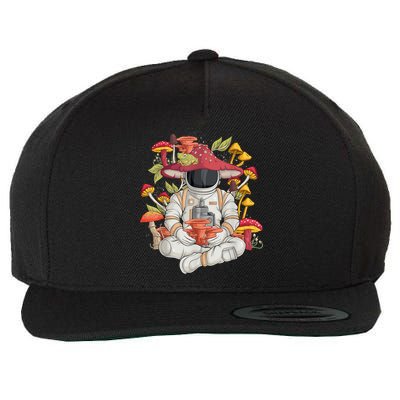 Astronaut Cottagecore Frog Aesthetic Men Women Graphic Wool Snapback Cap