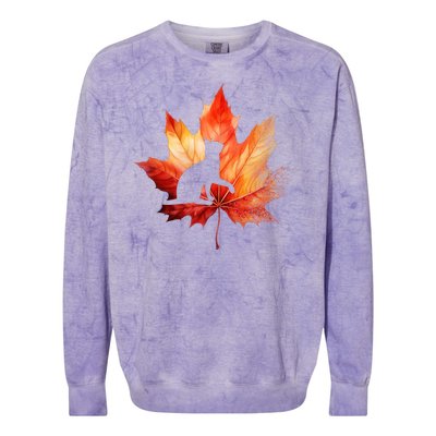 Autumn Cat Fall Lover Colorblast Crewneck Sweatshirt