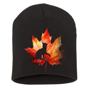 Autumn Cat Fall Lover Short Acrylic Beanie