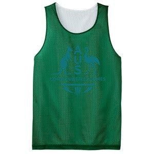 Aus Commonwealth Games Commonwealth Games Australia Australia Team Commonweal Mesh Reversible Basketball Jersey Tank