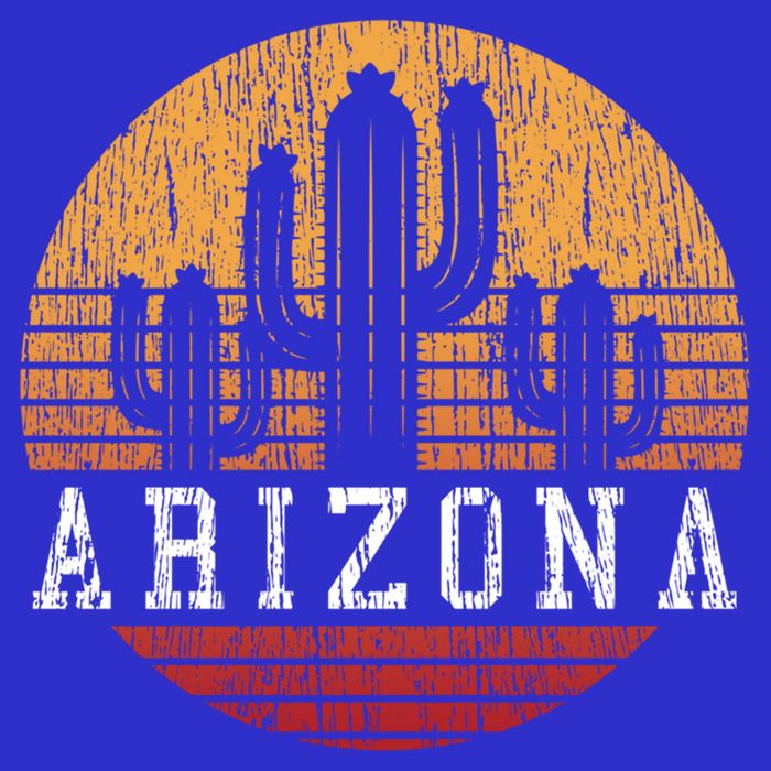 Arizona Cool Gift Gift Vintage Retro Cactus Gift Womens T-Shirt
