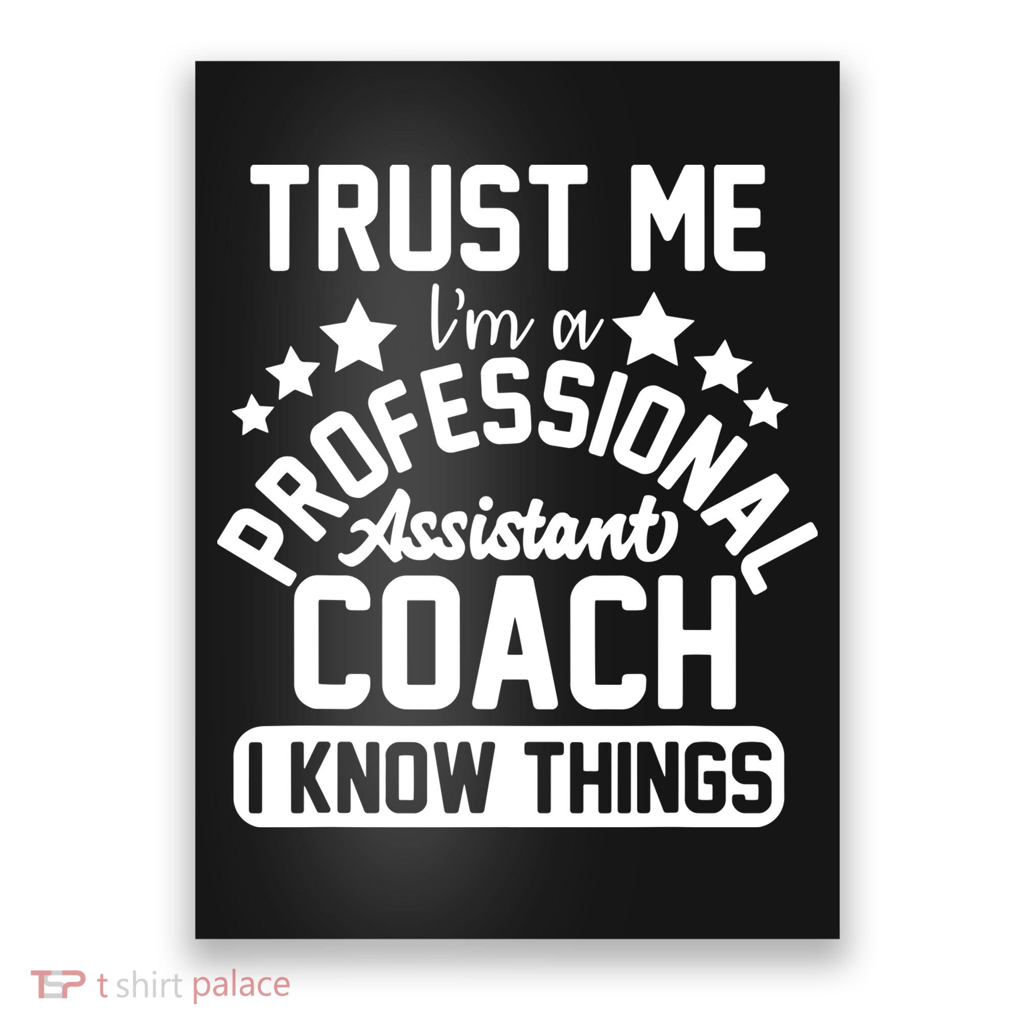 Assistant Coach Gift Idea Professional Coaches Poster