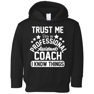 Assistant Coach Gift Idea Professional Coaches Toddler Hoodie