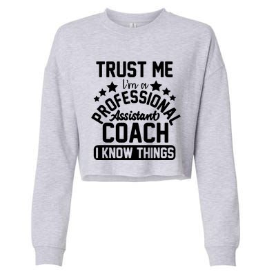 Assistant Coach Gift Idea Professional Coaches Cropped Pullover Crew