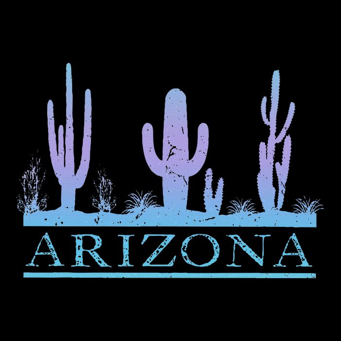 Arizona Cactus Garden Design Az Weathered Souvenir Womens Tank Top